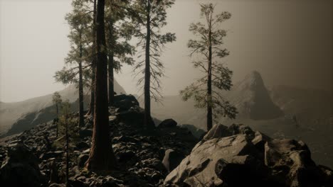 árboles-En-La-Niebla-En-Las-Montañas